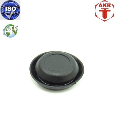 AKR113787