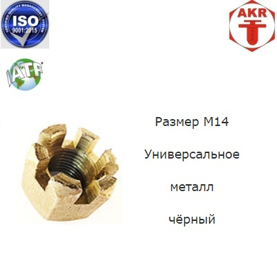 AKR113883