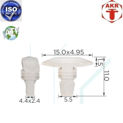 AKR118696