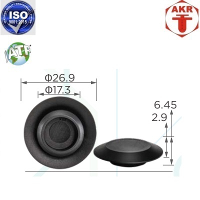 AKR118751
