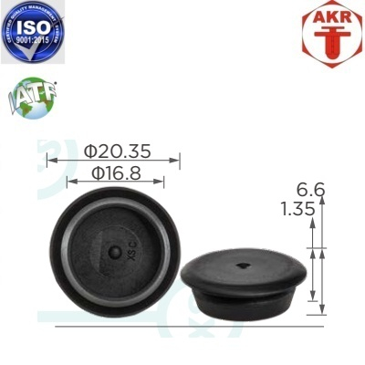 AKR118808